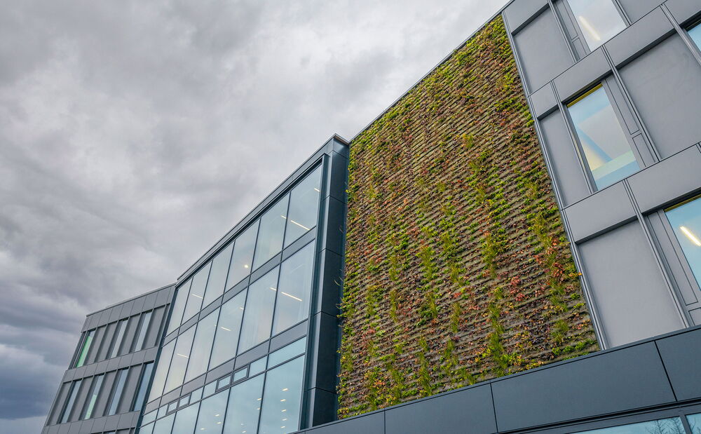 In tegenstelling tot de ventilatie- en klimaattechniek is de groene gevel van 100 m² direct zichtbaar.